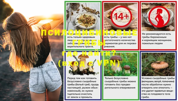 винт Арсеньев