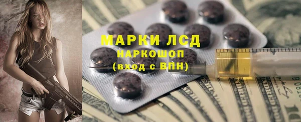 гидра Аркадак
